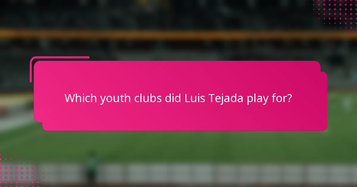 Which youth clubs did Luis Tejada play for?